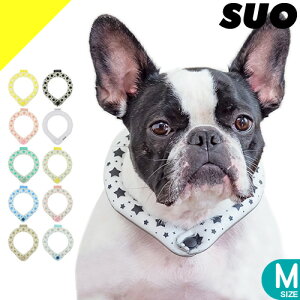 SUO 28 ICE N[O ACXlbNO p Lp MTCY lbNN[[ ACXlbNoh  p`[u  U MǑ΍ ΍ ЂObY ⊴ObY pObY 