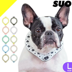 SUO 28 ICE N[O ACXlbNO p Lp LTCY lbNN[[ ACXlbNoh  p`[u  U MǑ΍ ΍ ЂObY ⊴ObY pObY 