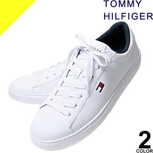 g~[qtBK[ Xj[J[ Y V[Y C [Jbg JWA uh  傫TCY  zCg BRECON TOMMY HILFIGER