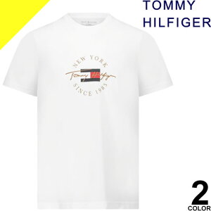 g~[qtBK[ TVc  N[lbN ێ Y S Rbg 傫TCY uh  zCg lCr[ TOMMY HILFIGER T-SHIRT 09T4510 [lR|X]
