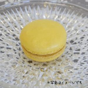 }J@ @@ v`Mtg  񎟉 EFfBO I 肪Ƃ ސE qǂ p[eB mxeB z ސE A j NX}X o^C