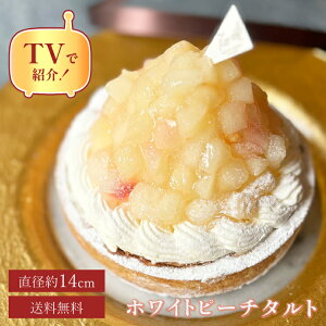 hV̓ 2025   100~OFFN[| / 14Z` ̃`[Y^g 4.5 (4`6lp)  ^g P[L XC[c Ԃ 킢 o[Xf[ a v[g Y 蕨 lC 