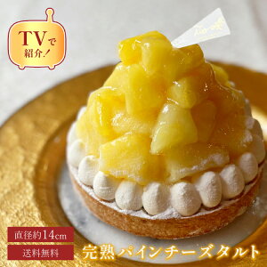 nEB  aP[L Ⓚ z  100~OFFN[| / 14Z` pC`[Y^g 4.5 (4`6lp) pC ^g XC[c v[g َq j aP[L  