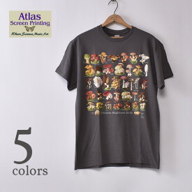 【ATLAS SCREEN PRINTING】アトラス スクリーン プリンティングWILD COTTON TEE SHIRTSワイルドコットンTシャツ全5色[ネコポス対応]
