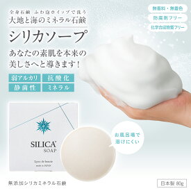 大地と海のミネラル石鹸　シリカソープ〔全身石鹸〕珪素石鹸 ケイ素 弱アルカリ 抗酸化 静菌性 無添加