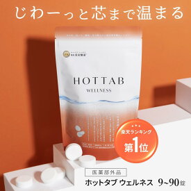 体の芯から ポカポカ 温まる 重炭酸入浴剤 ホットタブ [医薬部外品] 睡眠の質 改善 高める ウェルネス 薬用 HOT TAB ギフト 贈り物 プレゼント 怠さ 睡眠 保湿 乾燥対策 肩こり 腰痛 温活 疲労 温泉 冷え 睡眠不足 塩素中和 無香料 9錠 90錠