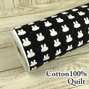 ywzLg  Rbg  rbg mg[ vg  w | z n Lg  Rbg 105cm ؂蔄 10cmP