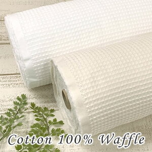  bt | z n  Rbg bt n zCg  i` Y 110cm ؂蔄 10cmP