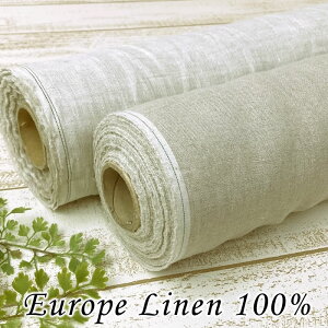  l [bpY | z n  l n  \tgdグ  i`zCg 145cm Ch ؂蔄 10cmP S2F