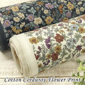 Rbg R[fC \tgdグ t[vg | z n  Rbg R[fC א ׃R[ VcR[ ~WR[ 21W  A t[ {^jJ H~ Y {Y 108cm