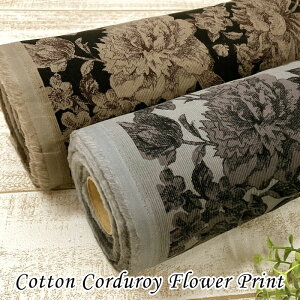 Rbg R[fC \tgdグ {^jJvg | z n  Rbg R[fC א ׃R[ VcR[ ~WR[ 21W  A t[ {^jJ H~ Y {Y 10