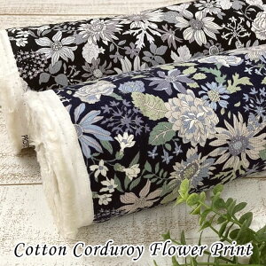 Rbg R[fC \tgdグ t[vg | z n  Rbg R[fC א ׃R[ VcR[ ~WR[ 21W  A t[ {^jJ H~ Y {Y 110cm