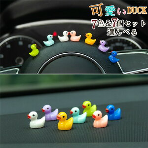 ԏ ԓ u 蕨 CeA ANZT[  蕨 G   _bN Mtg v[g ԍ 7Zbg