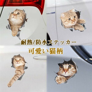 XebJ[ e[v ԗp I[goCp hXAbv L lR ϔMfJ[ KX V[ KX Vv S x}[N O JX^ oCN   ԗp ʃe