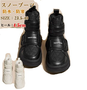 Xm[ u[c fB[X h N q[ Xm[V[Y Ȃ h hu[c ۉ {AV[Y ᓹu[c ~C AEghAΉ  O Jp  傫TCY