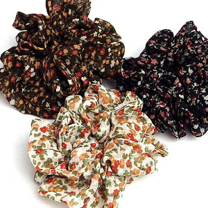 ǐՉ\[OKVVyԕ̃VtHVVzwAANZT[@wAS@ӂӂ@@uE@AC{[@v`v@l@q@LbY@@@