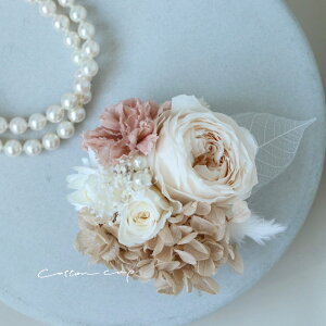 vU[uht[RT[W RT[W uU[hw     EFfBO uC_ tH[} ANZT[ uU[ht[RT[W wAp[c hCt