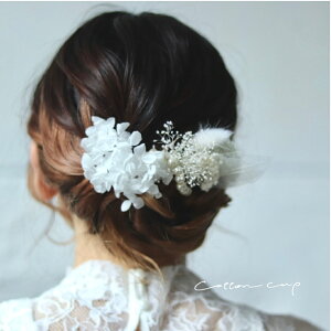 wbhhX  w     EFfBO uU[h uC_ tH[} ANZT[ wAp[c i` hCt[ vU[uht[ o AWT