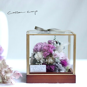  Mtg t[Mtg AWg AW hCt[ v[g CeA  KXP[X  vU[uht[ i`  ̓ EGfBO 