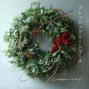 NX}X[X tbVt[ Christmas Xmas 傫 傫 {[ hCt[  Vv O[ l  Mtg t[Mtg AWg v[g Ce