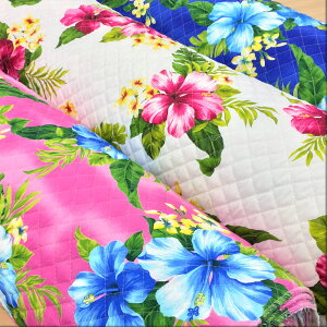 nCA LeBO n nCrXJX vg Lg nCA z zn y10cmPʁz ؂蔄 S3F  108cm pp\ [50cmΉ