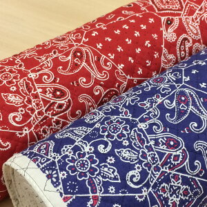 LeBO n o_i Lgn q z y10cmPʁz ؂蔄 S2F 108cm pp\ [50cmΉ