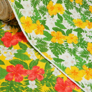 LeBOn Lg nCA nCrXJX Xe vA y10cmPʁz؂蔄 CG[ AC{[ z 108cm pp [50cmΉ