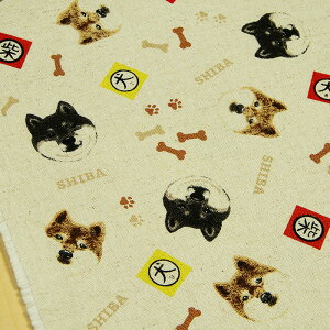 n  ČXebJ[ Rbgl ȖLoX y10cmPʁz؂蔄 z Rbg΂₵ zn 110cm pp [2m܂