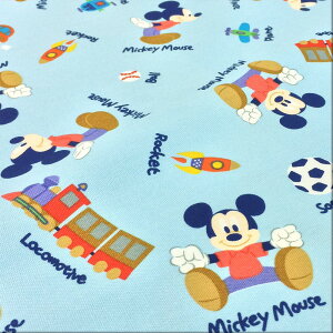 y10cmPʁzn ~bL[}EX LN^[ fBYj[  IbNX F  q j̎q  zn 110cm pps [2m܂