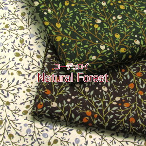R[fC Natural Forest@i`tHXgiP50cmj؂̎/X/{^jJ/A/H~/R[e/R[V/N/n/z