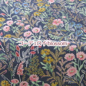 R[fC blossom ubTiP50cmj/͂/t[/H~/VcR[/׃R[/R[e/R[V/N/n//Rbg/vg