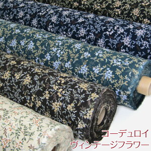 R[fC Be[Wt[iP50cmjt[//K[f/H~/R[e/R[V/N/n