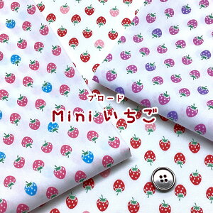 u[h@MiniiP50cmjXgx[/Strawberry/C`S//t[c/ʕ//g/݂邭/̎q//n/z//Rbg/vg/nhCh