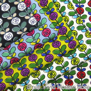 u[h Rbg΂₵@̕z@Small Vivid Modern RoseiP50cmjo/KN/[Y//_/n//Rbg/vg