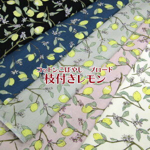 Rbg΂₵@u[h }tiP50cmjt[c/ʕ//t[/݃J[/i`/n//Rbg/vg