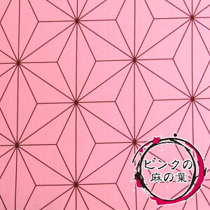 sN̖̗t@u[hiP50cmja/a/`͗l/{//n//Rbg/vg