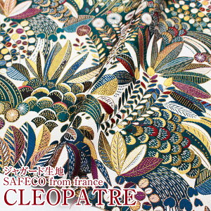 WK[hn@SAFECO from france CREOPATRE(P50cm)z/n/|G`/D/An/TtFR/tXn