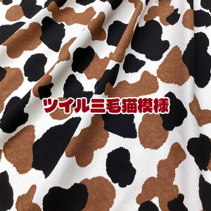 cCOєL͗liP50cmjL/lR/Lbg/CAT/݂˂/Aj}//n/z//Rbg/vg/nhCh