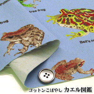 カエル 生地の人気商品 通販 価格比較 価格 Com