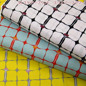 30XPA[vg@XNGA[t[(P50cm)ԕ/傫/k/l/n//Rbg/vg