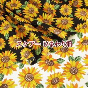 XPA[ Ђ܂蔨iP50cmj/t[/Flower/q}//Tt[//vg/Rbg//n