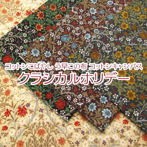 Rbg΂₵@RbgLoX NVJzf[iP50cmj/Rbg/n/vg/t[/FLOWER//ԕ/g/IG^/re[W/_}XN/[bp