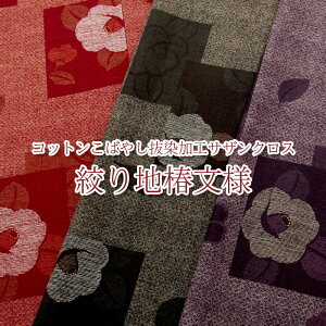 Rbg΂₵@HTUNX@in֕l(P50cm)a/a/ڂ//coL//͂/ni/hr[/얱/r/n/z//Rbg/vg