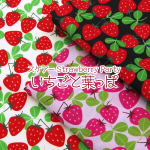 XPA[@Strawberry Party@ƗtρiP50cmjRbg//n/vg/C`S//Xgx[/t[c