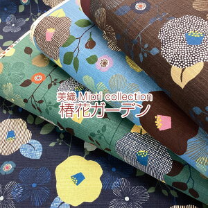 D Miori@collection@։ԃK[fiP50cmja/a/a/a_/n/z//Rbg/vg/ԕ/͂/t[/hr[/k
