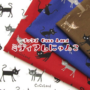 IbNX Coco Land@~fBAɂ(P50cm)RRh/L/˂/lR/Lbg/CAT/ɂ/NlR/L/vg/n/z//Rbg