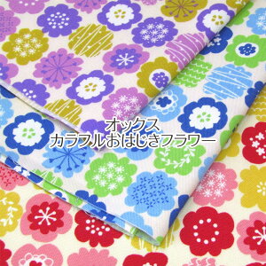 IbNX Jt͂t[(P50cm)/͂/k/_/`[t/Cute/̎q/vg/n//Rbg