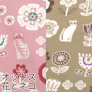 IbNX ԂƃlR(P50cm)L/˂/lR/Lbg/CAT/vg/n//Rbg/nhCh