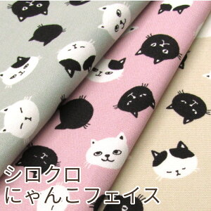 IbNX VN ɂ񂱃tFCX(P50cm)L/˂/lR/Lbg/CAT/vg/n//Rbg/nhCh