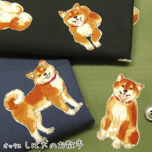 IbNX Ό̂UiP50cmjČ/Ck//R//ybg/Aj}//n/z//Rbg/vg